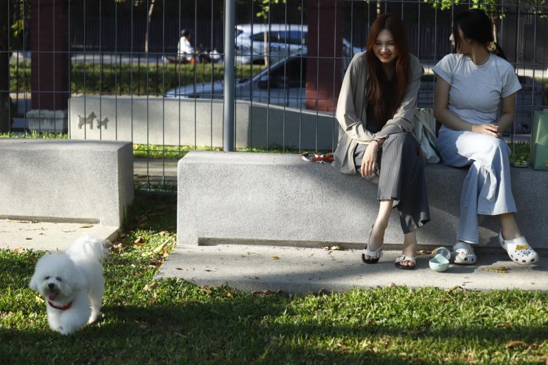 Park-goers let their pet roam off-leash at the newly opened Dog Park zone in Lumpini Park following the area’s recent renovation and expansion. (Photo: Nutthawat Wichieanbut)