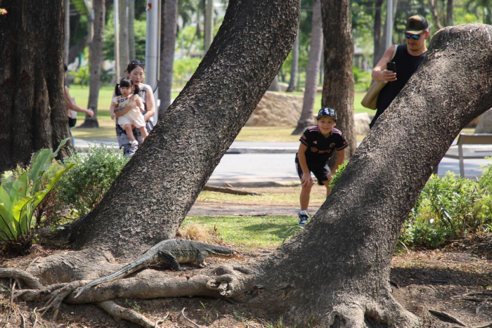 Tourism sector seeking clear policies