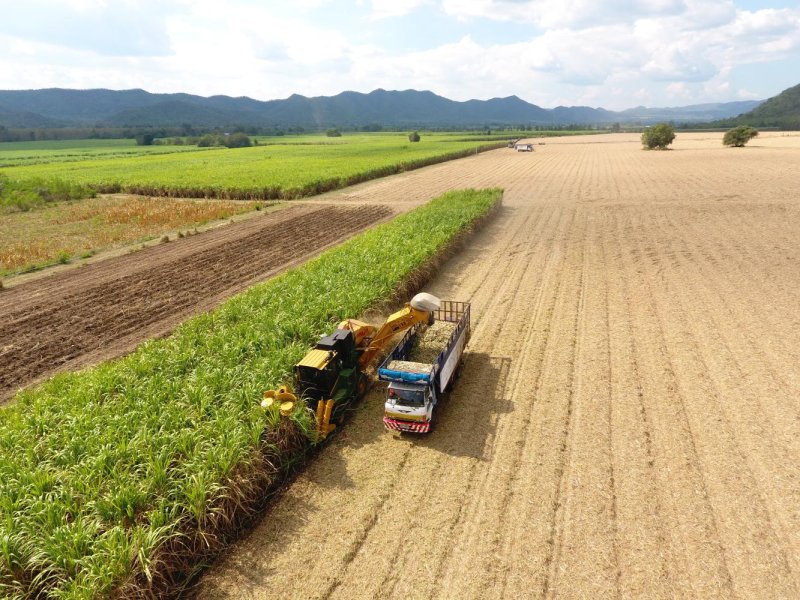 KSL promotes the use of mechanical harvesters to reduce PM2.5 dust from sugarcane harvesting.