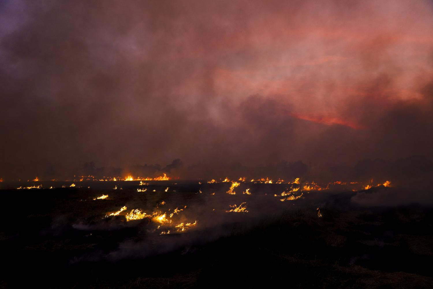 Smoke fills the air after a rice field is burned in Nonthaburi to clear dry rice straw. Burning on farmland, including rice and sugarcane plantations, is a major source of PM2.5 pollution.&thinsp;Pattarapong Chatpattarasill