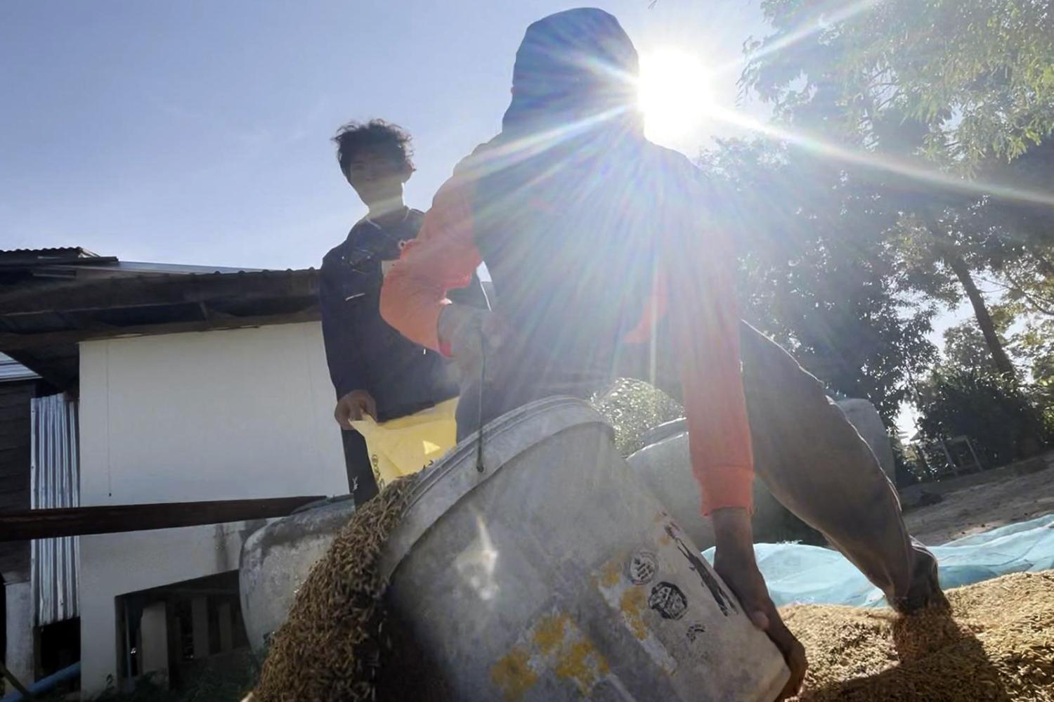 The agricultural sector faces a greater risk of drought and floods this year. Chakkrapan Natanri