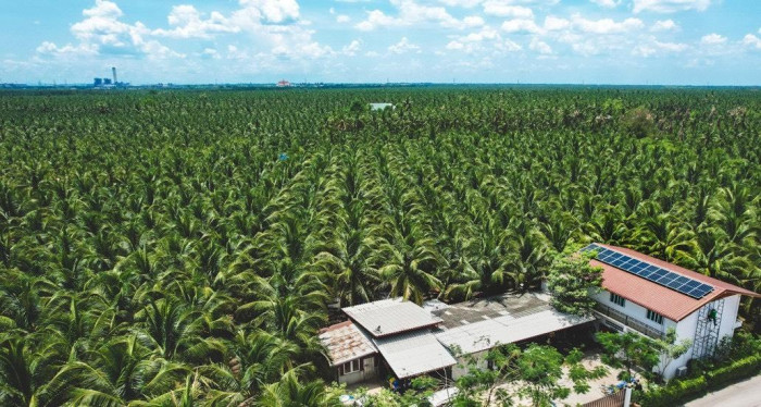 Beyond organic agriculture