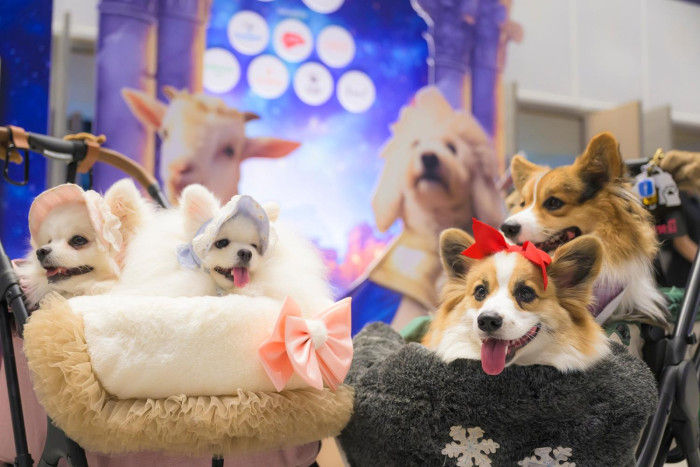 Pet Expo Thailand is back