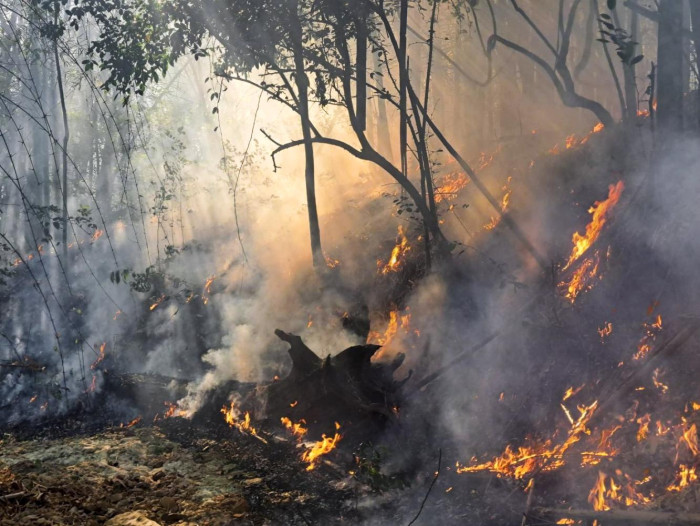 Fires fuel pollution fear