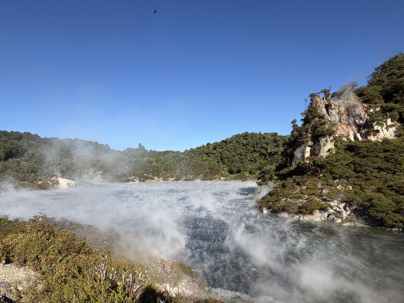 Waimangu Volcanic Valley. photo courtesy of Waimangu Volcanic Valley