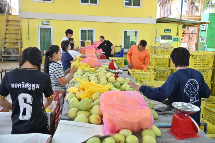 Pundit urges growing fruit sales channels