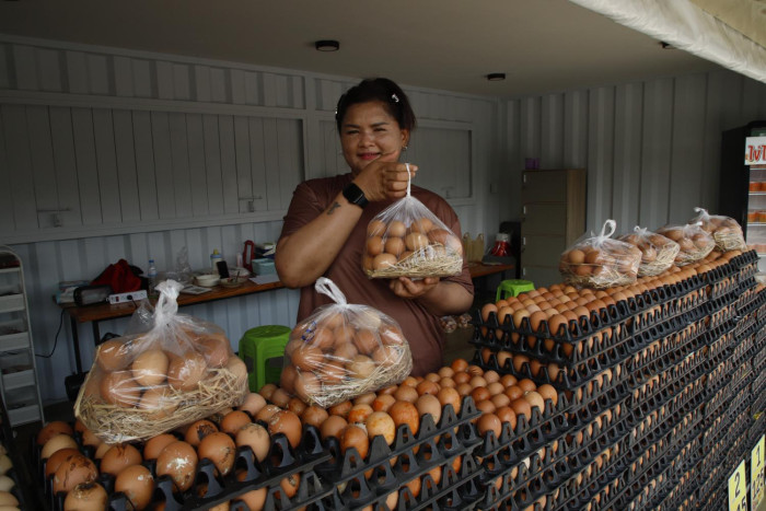 Cracking open Thailand's egg monopoly