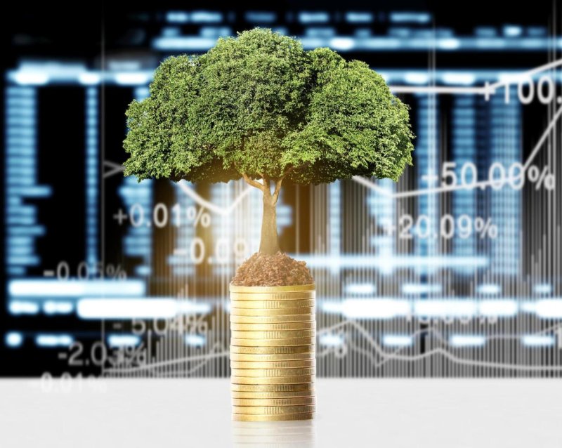Thailand's ESG bond market has expanded steadily in recent years, but nearly 70% of private-sector ESG bond issuance remains concentrated in the energy and transport sectors.