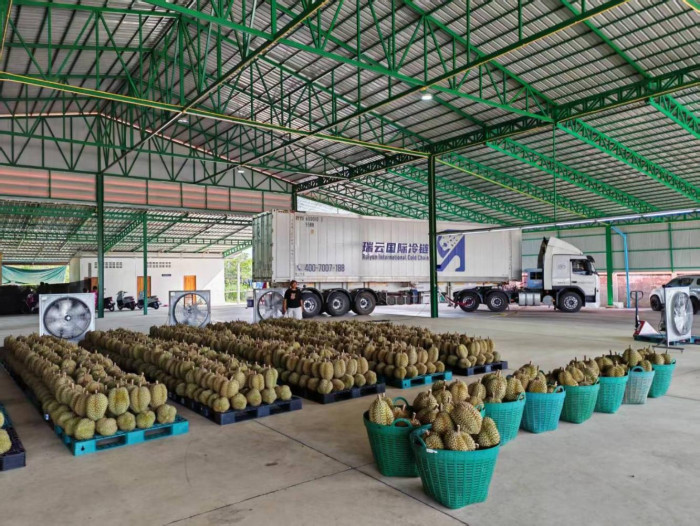 Durian demand propels May border trade