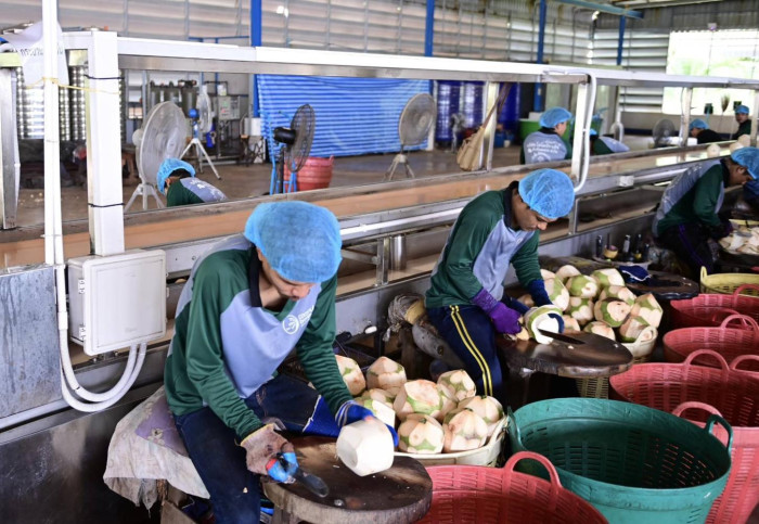 Central bank schemes set to expand SME lending