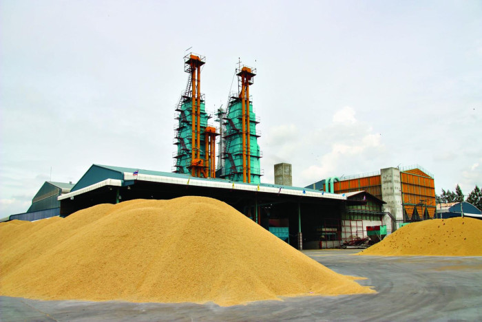 El Niño effect may result in rice exports of 7m tonnes