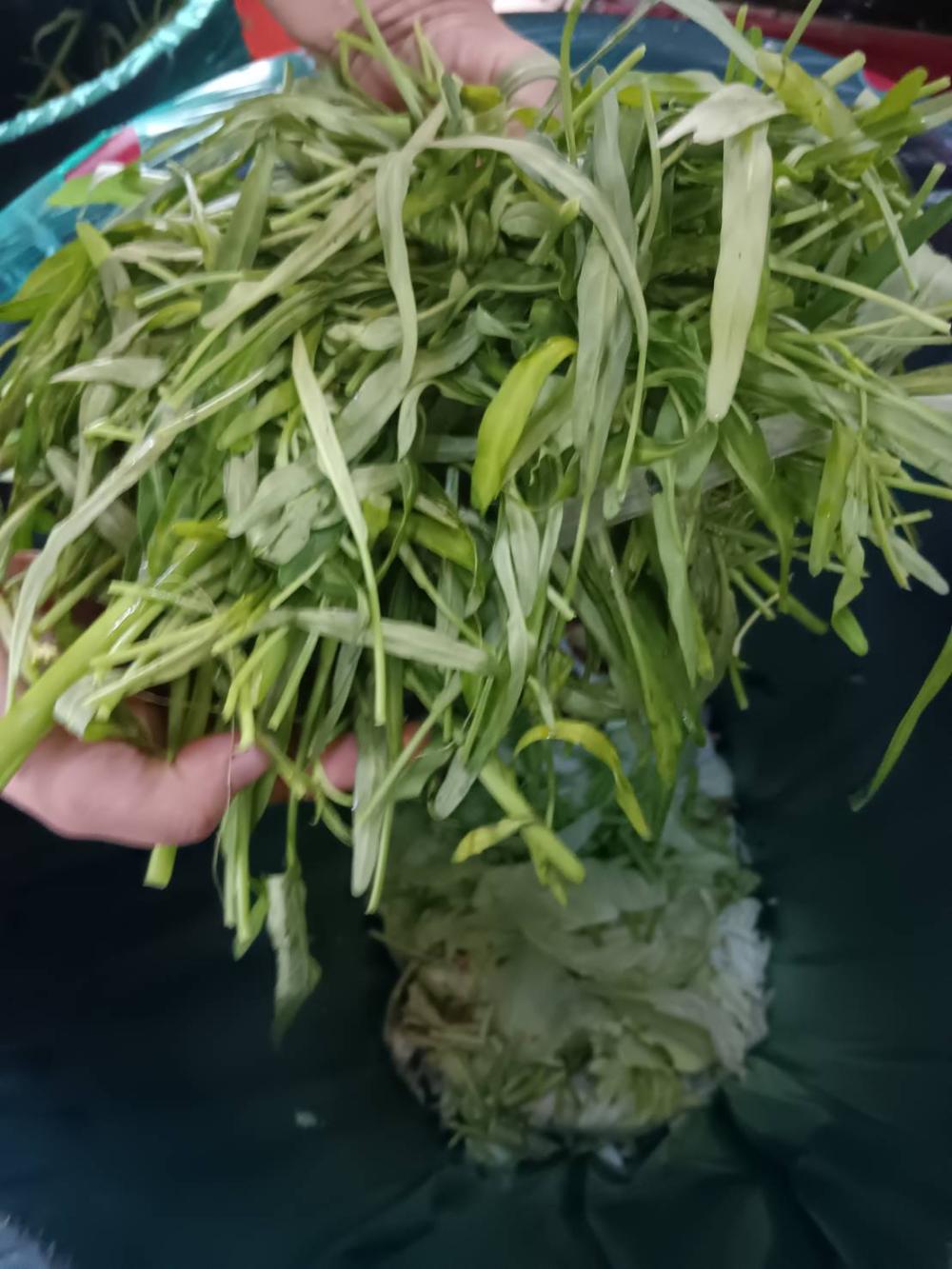 Unused parts of vegetables become food waste.
