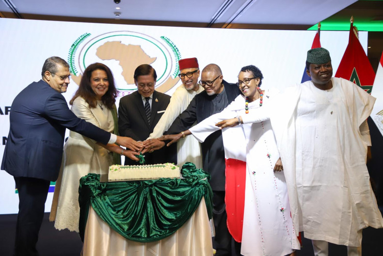 Thai diplomatic push in rising Africa