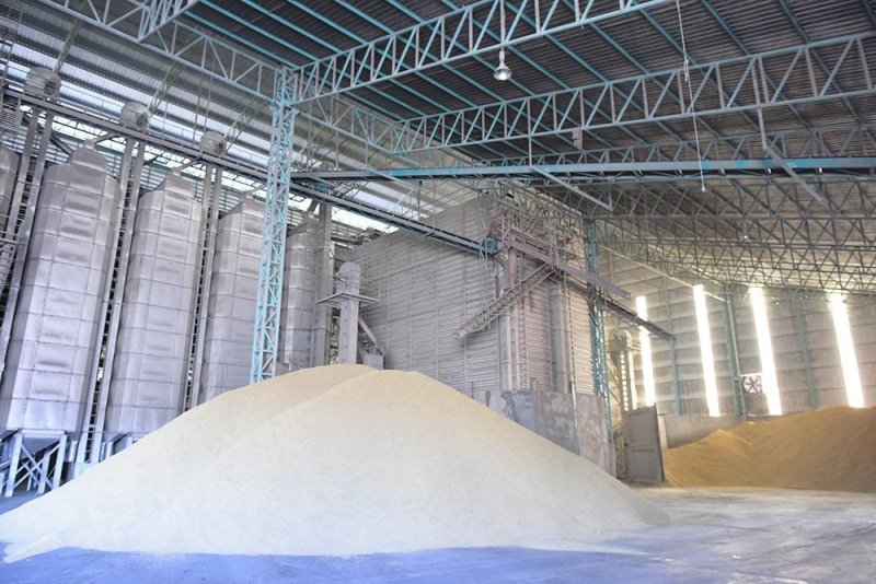 Rice is stored in a silo. The Department of Internal Trade plans to advocate increasing the rice safety stock by 30% to mitigate potential risks from El Niño.