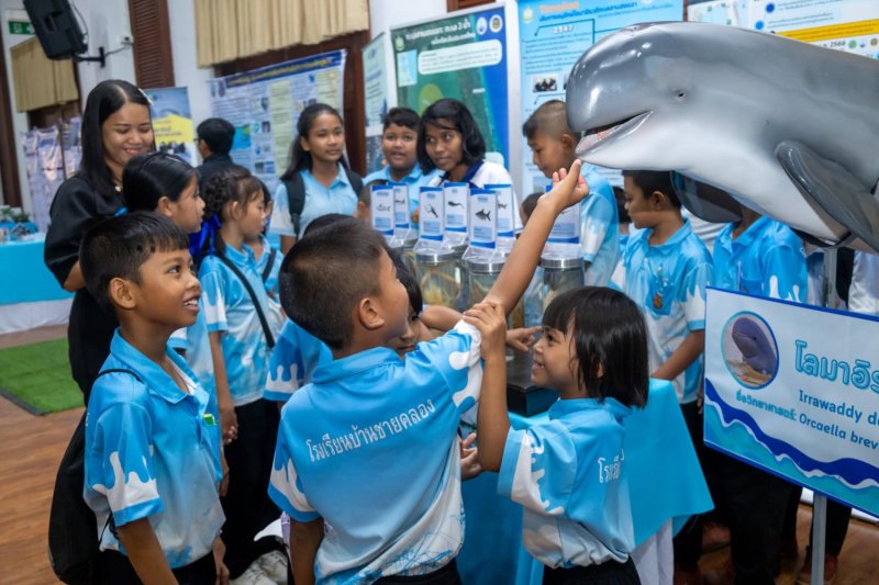 Thaksin University holds an exhibition to educate children about Irrawaddy dolphins in Songkhla Lake. THAKSIN UNIVERSITY
