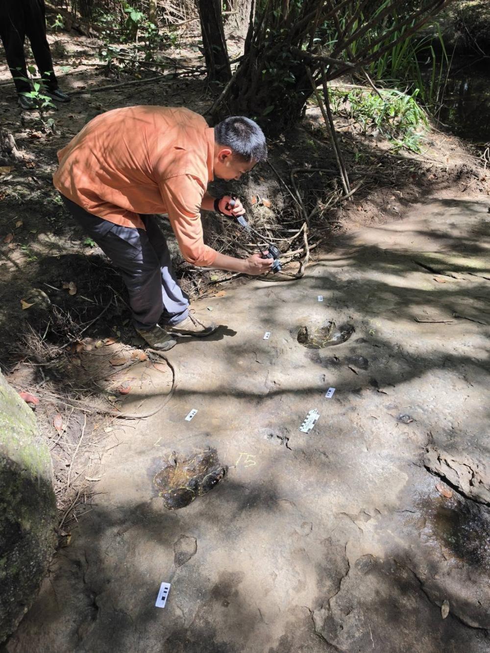 An official from the Department of Mineral Resources (DMR) records evidence of a dinosaur footprint at Phu Hin Chom That-Phu Phra Bat National Park in Ban Phue district in Udon Thani. DMR