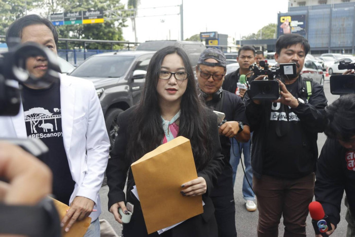 Influencer seeks foundation probe - Bangkok Post