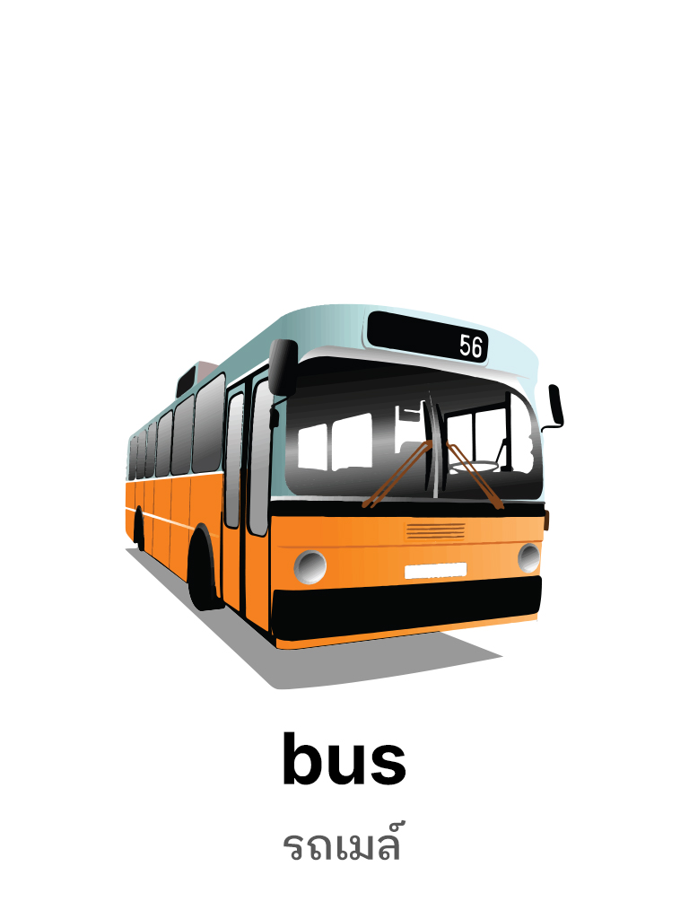 Bus