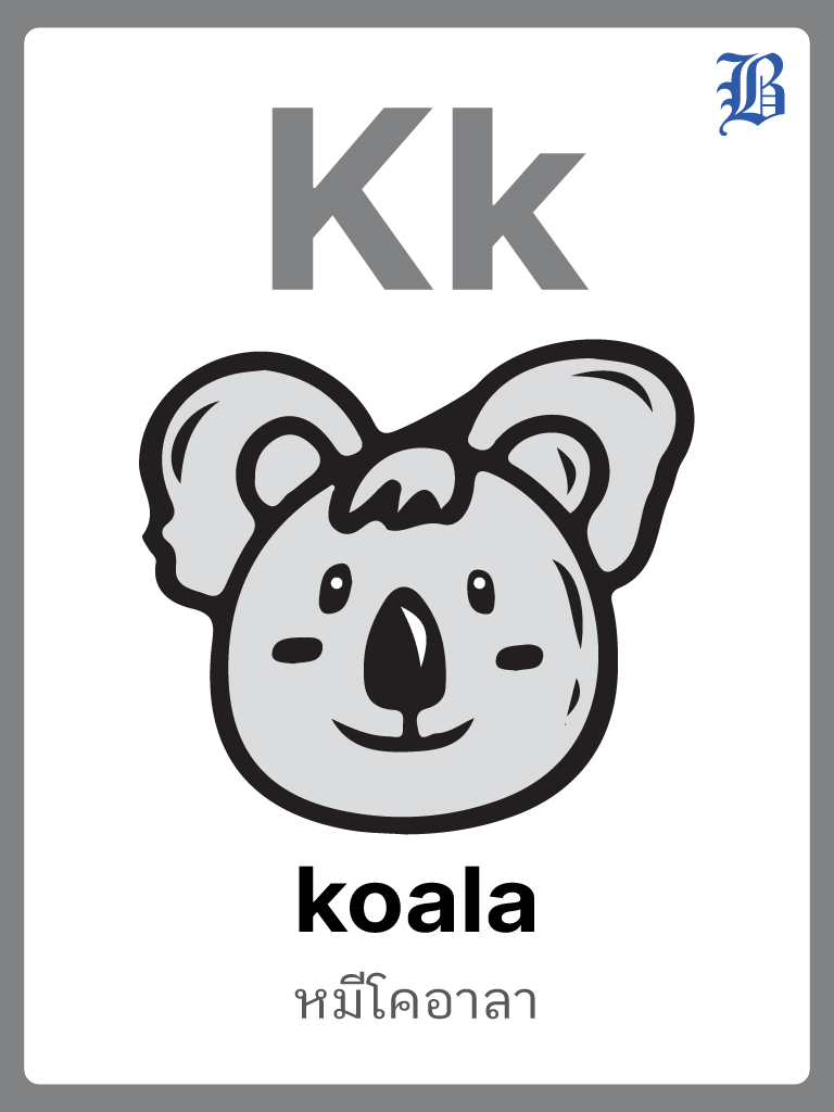 K Koala