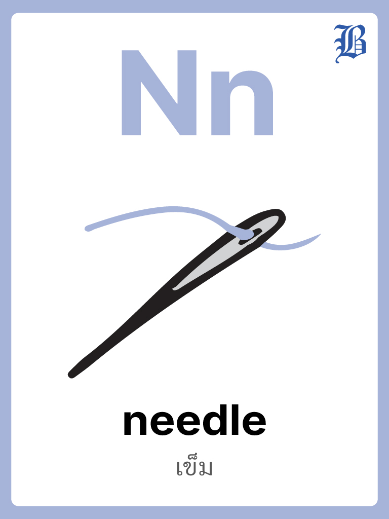 N Needle