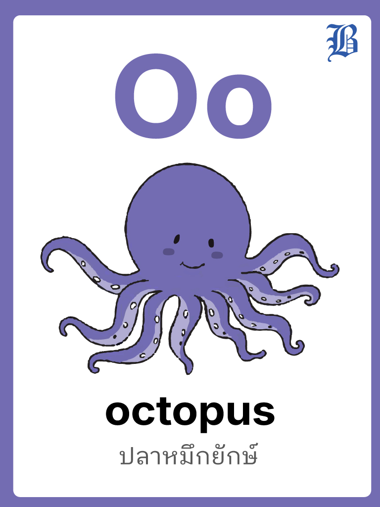 O Octopus