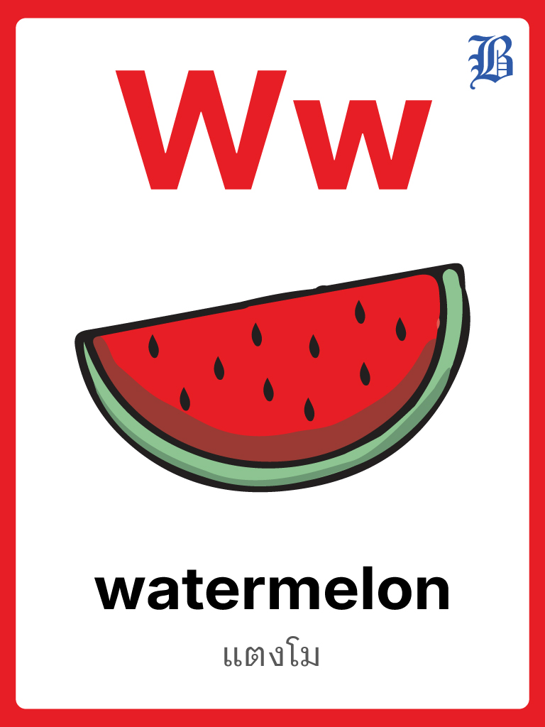 W Watermelon