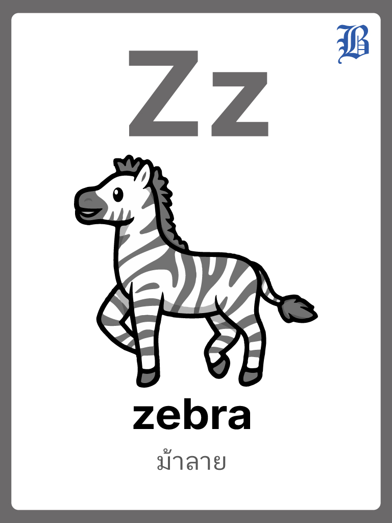Z Zebra