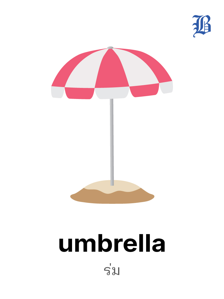 umbrella