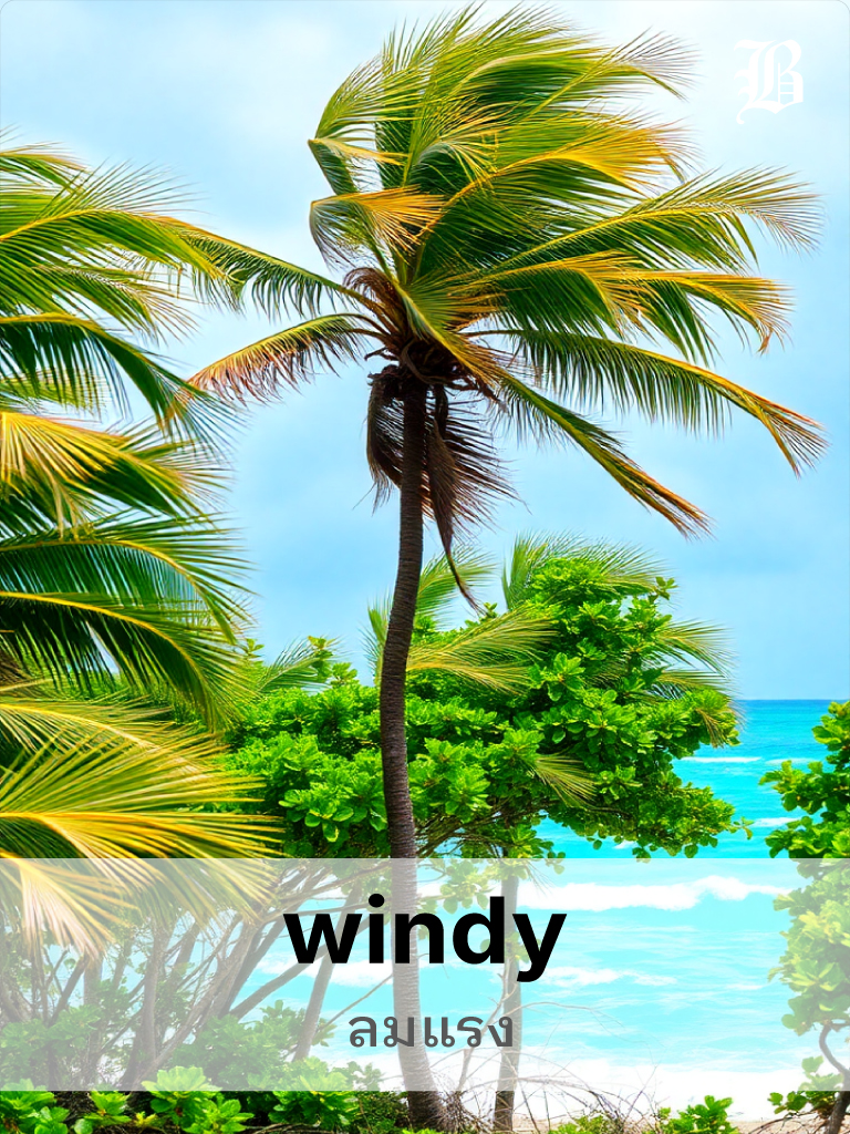 windy