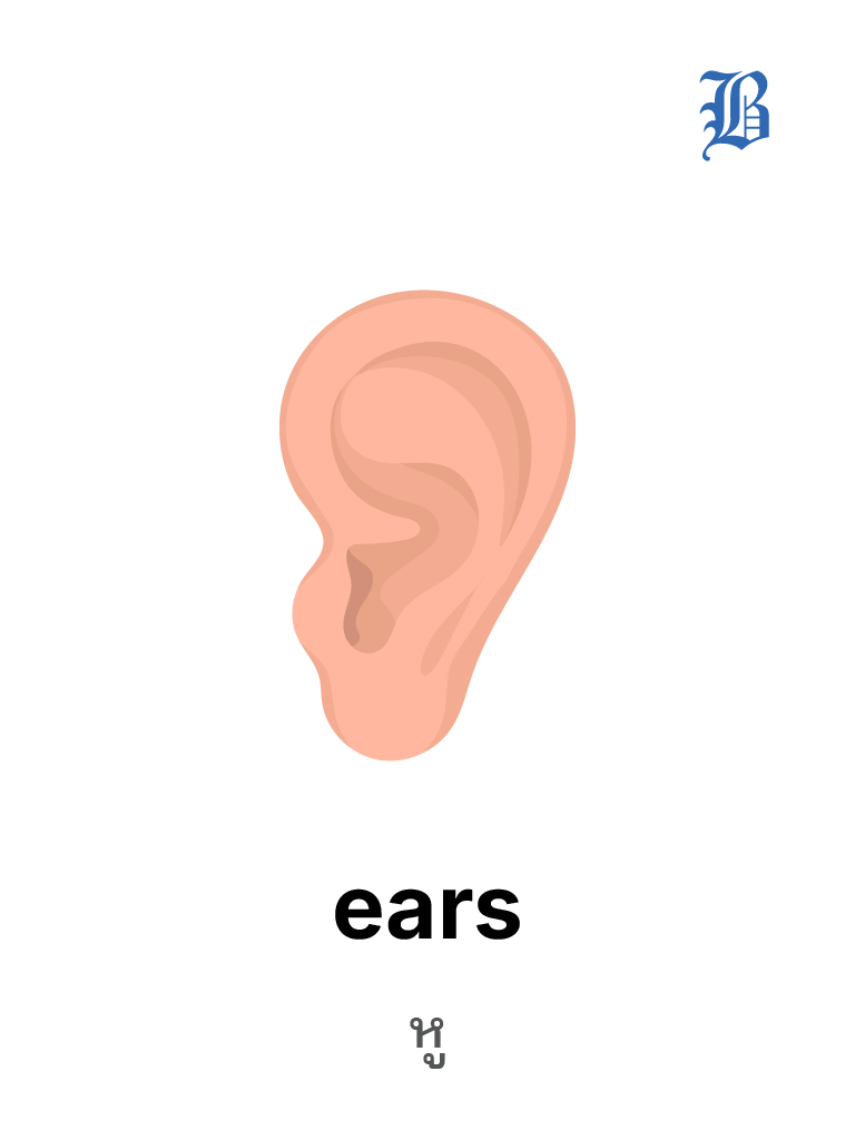 ears