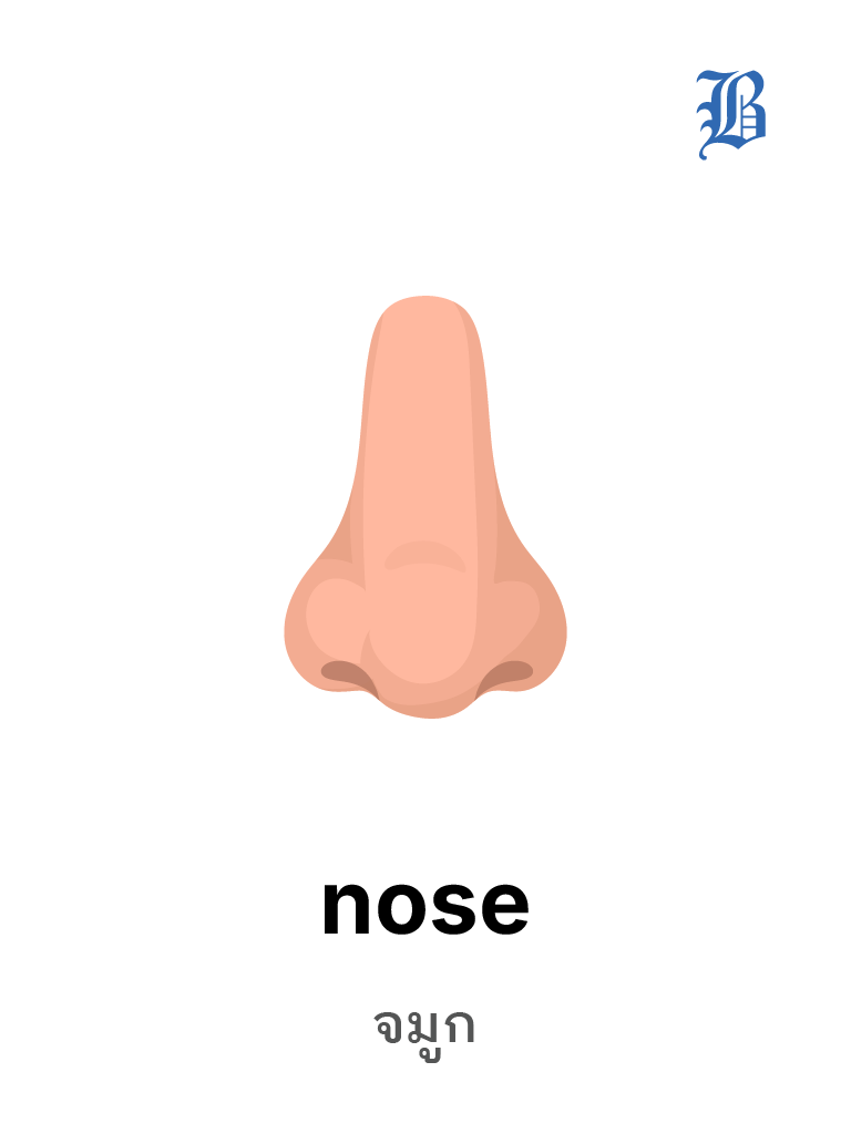 nose