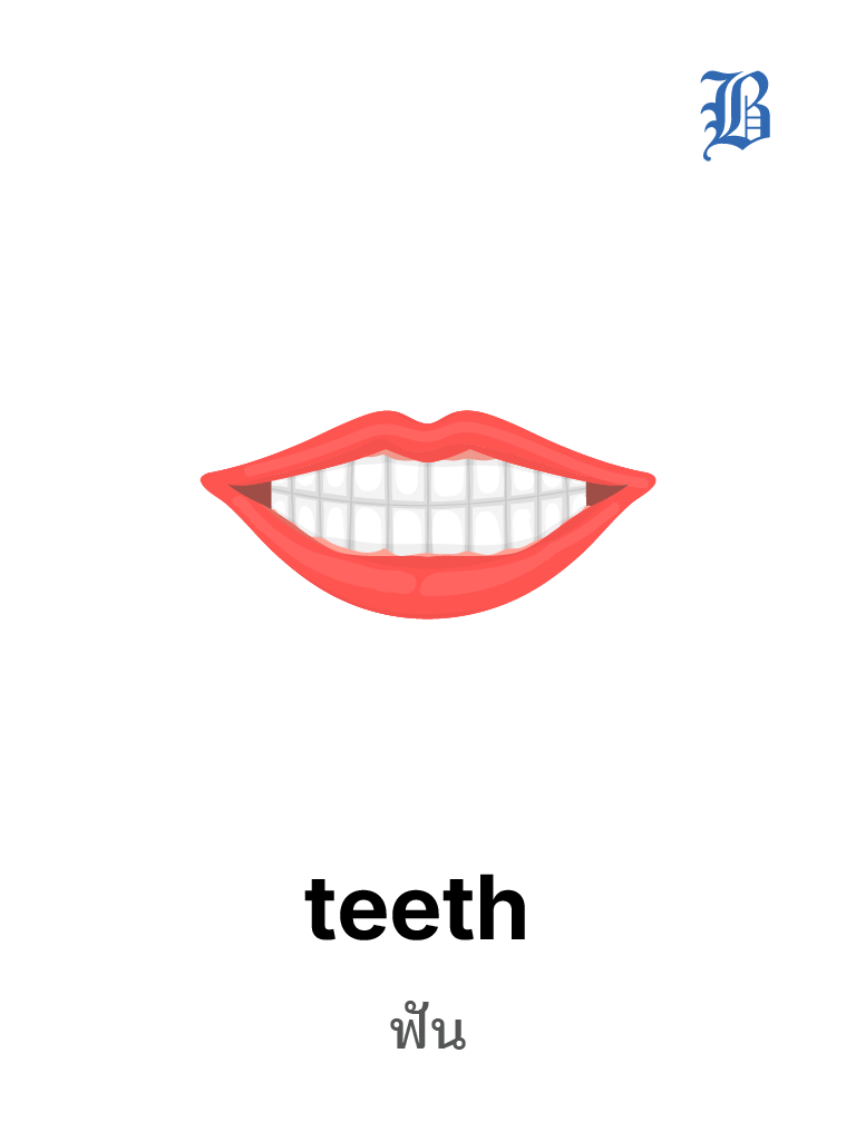 teeth