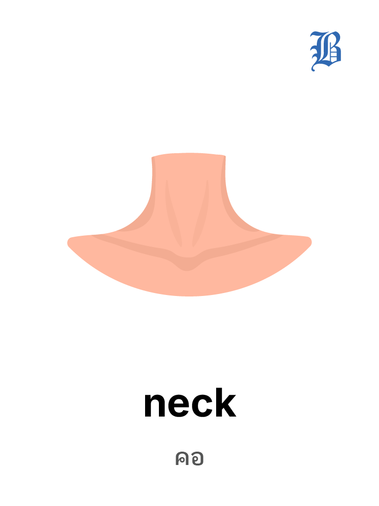 neck