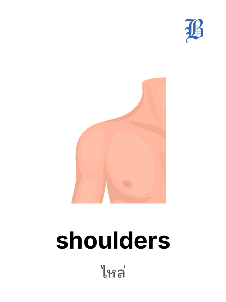 shoulders