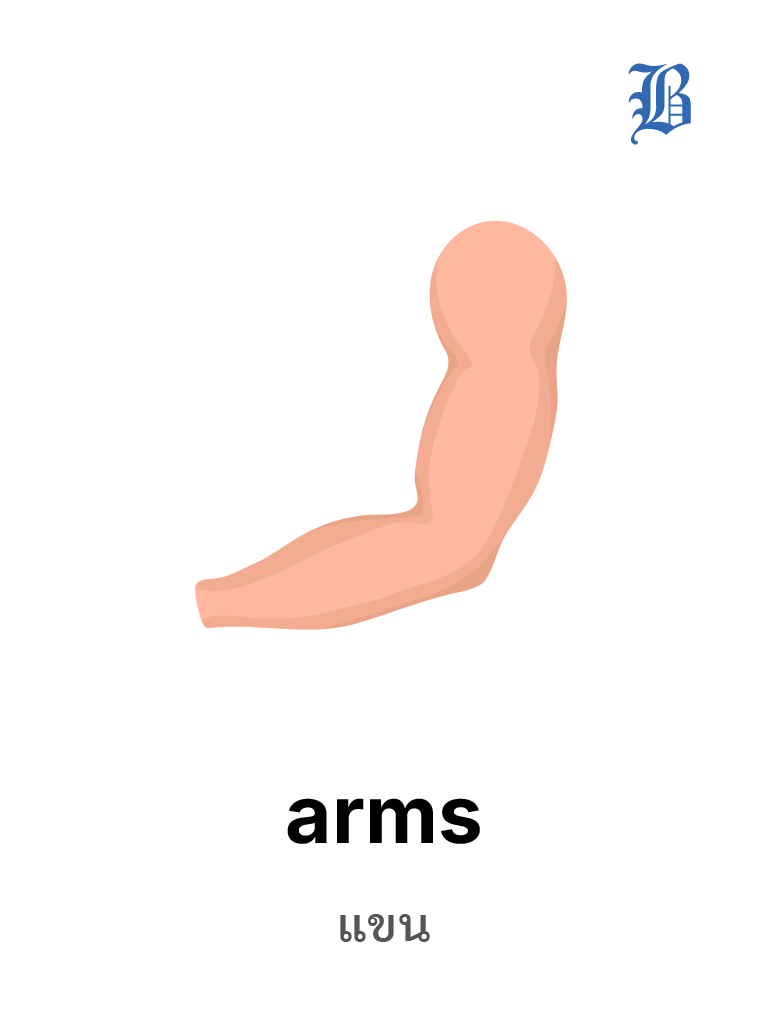 arms