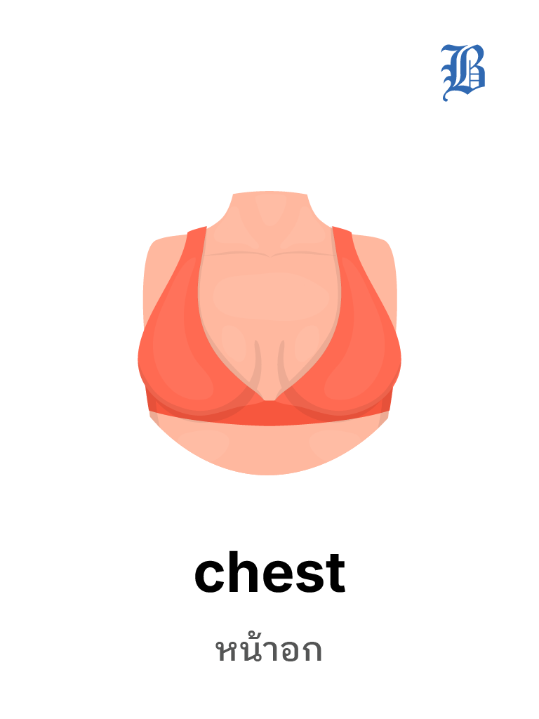 chest