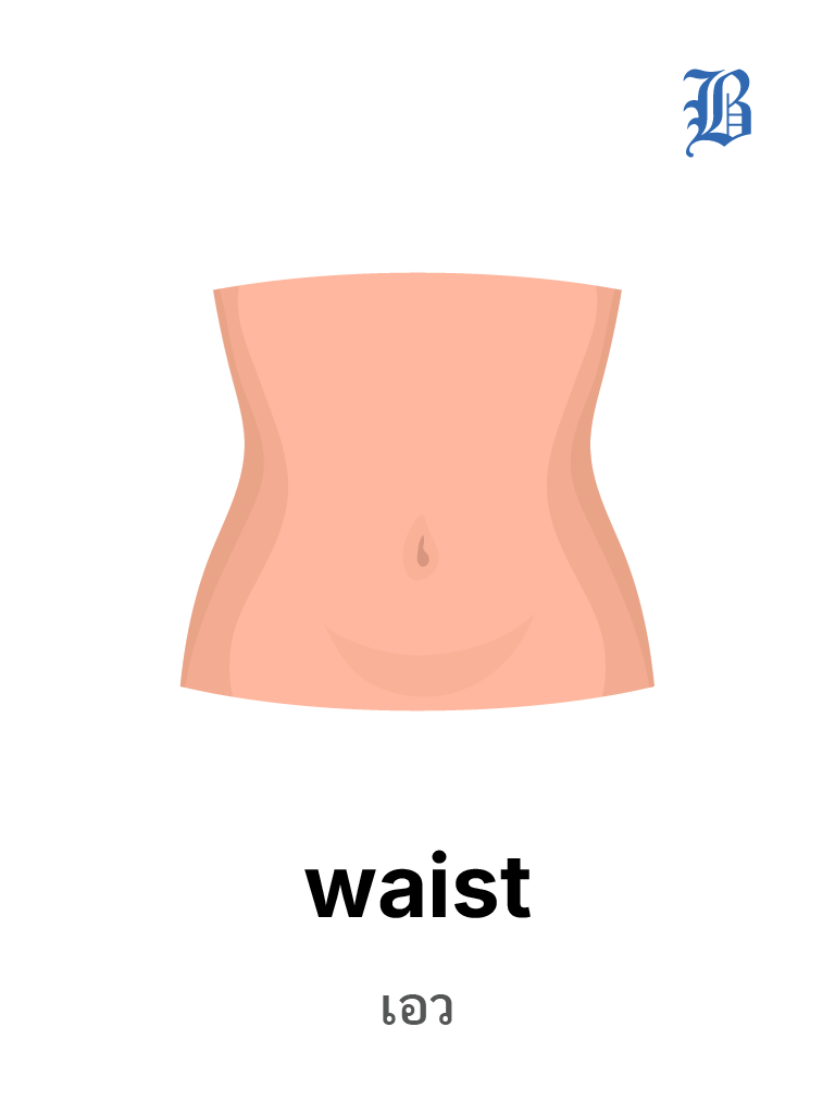 waist