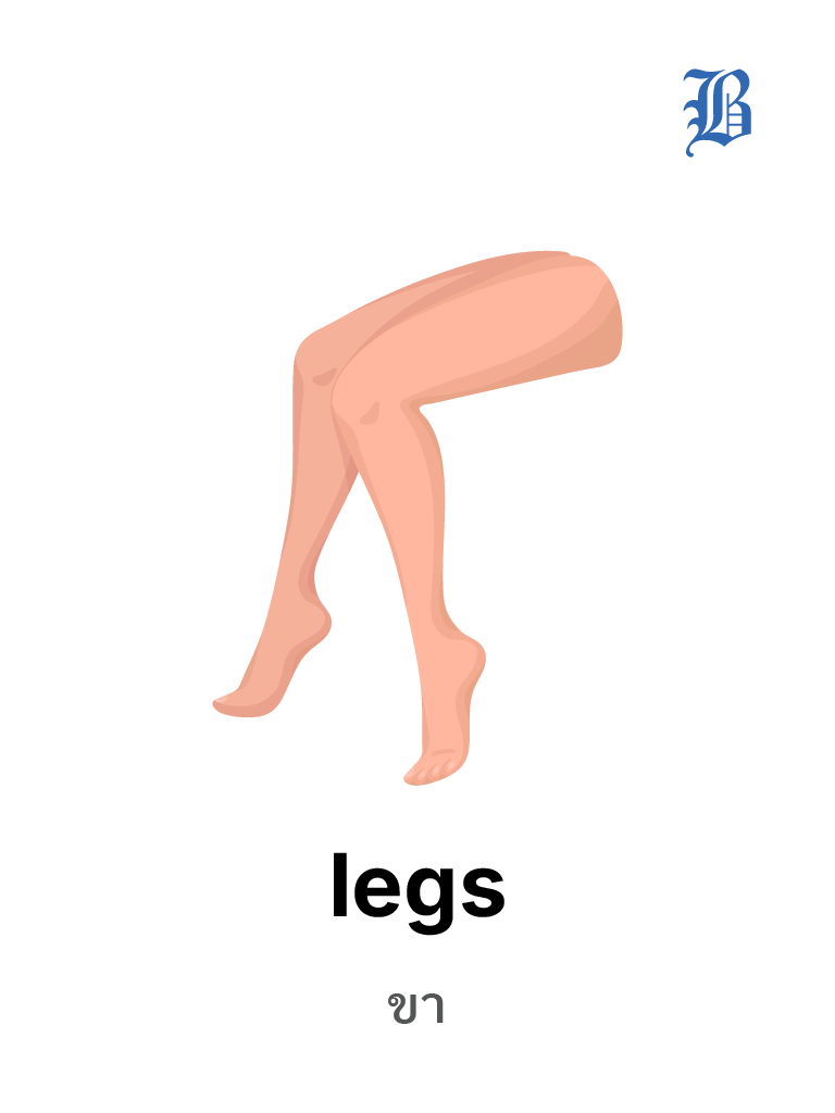legs