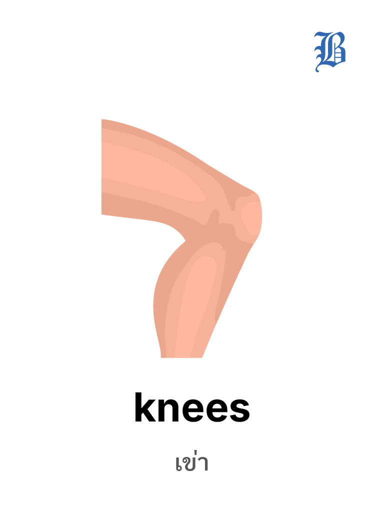 knees