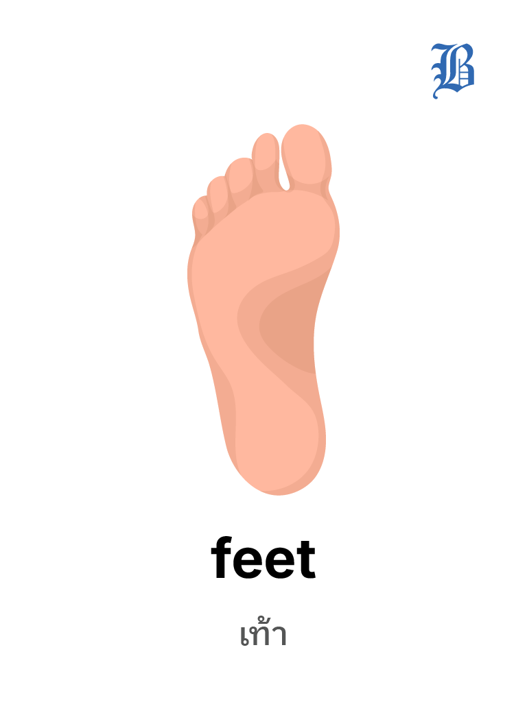 feet