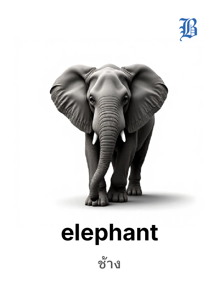 elephant 