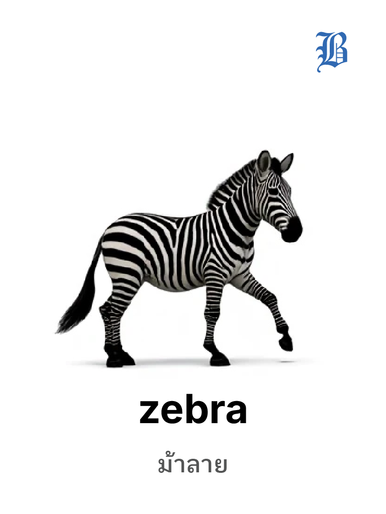 zebra 
