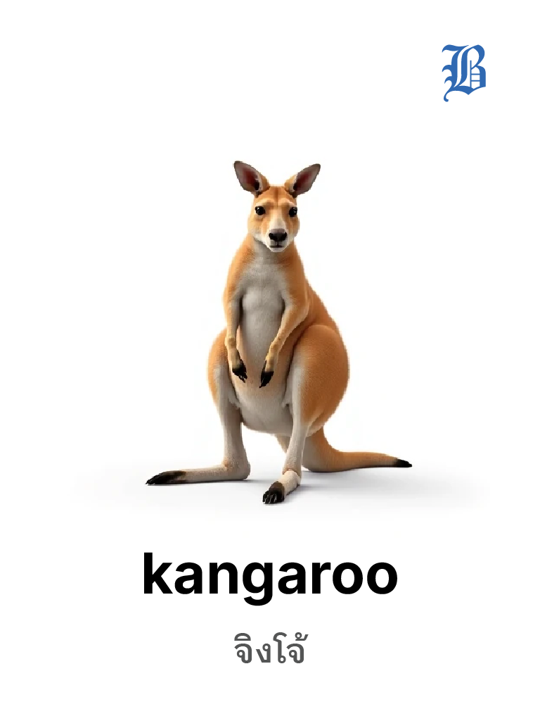 kangaroo 