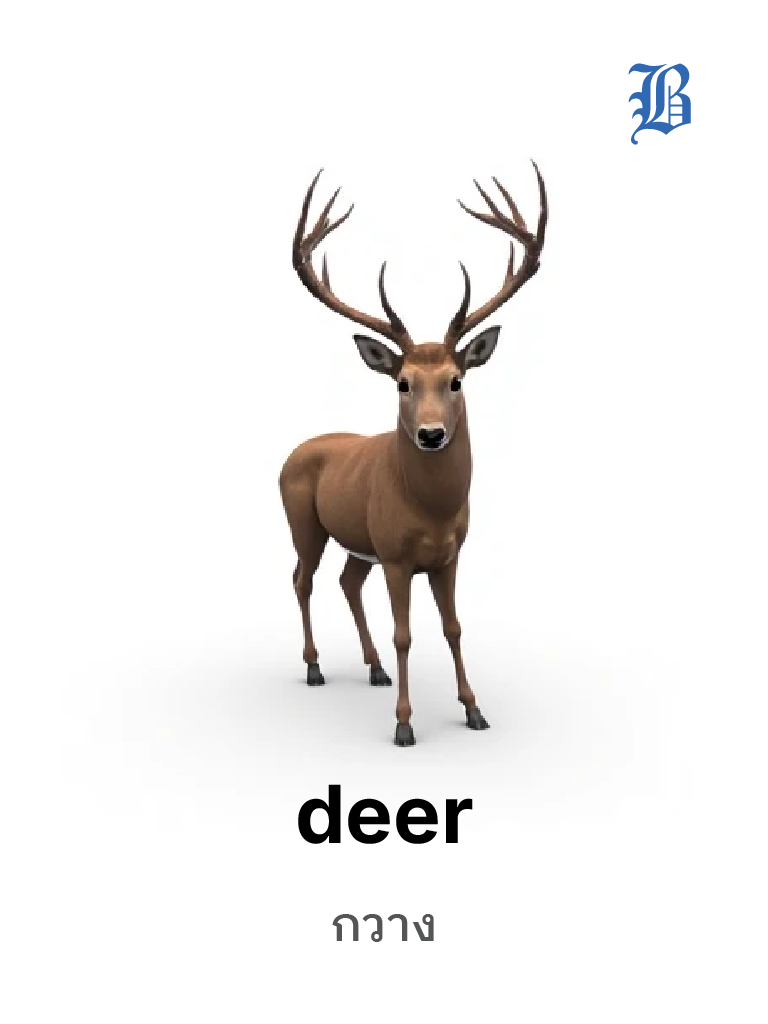 deer 