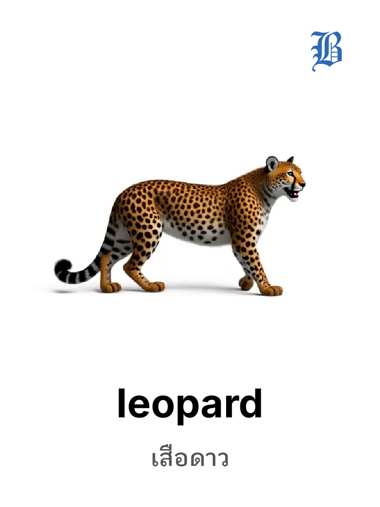 leopard 