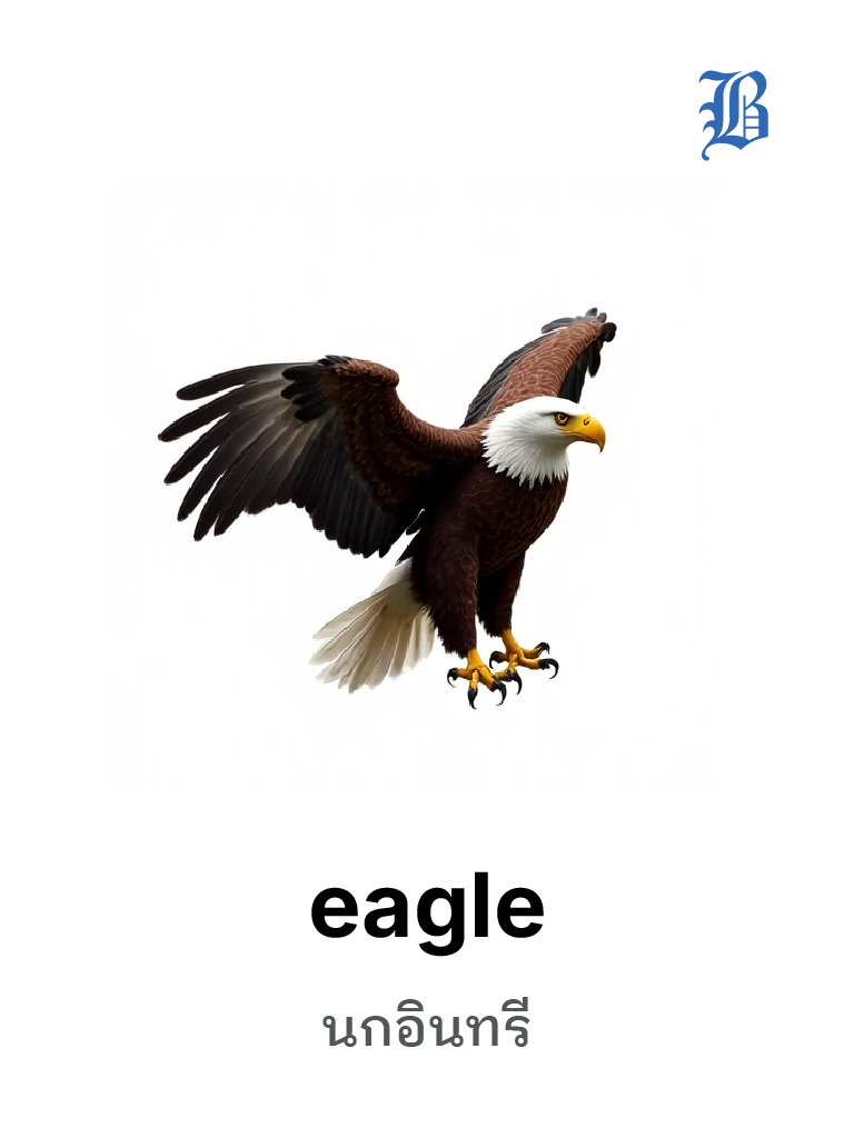 eagle 