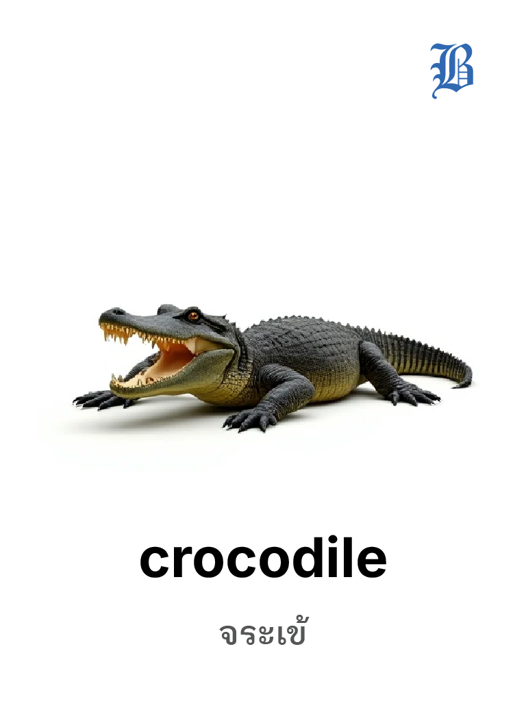 crocodile 