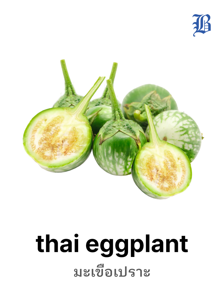 thai eggplant 