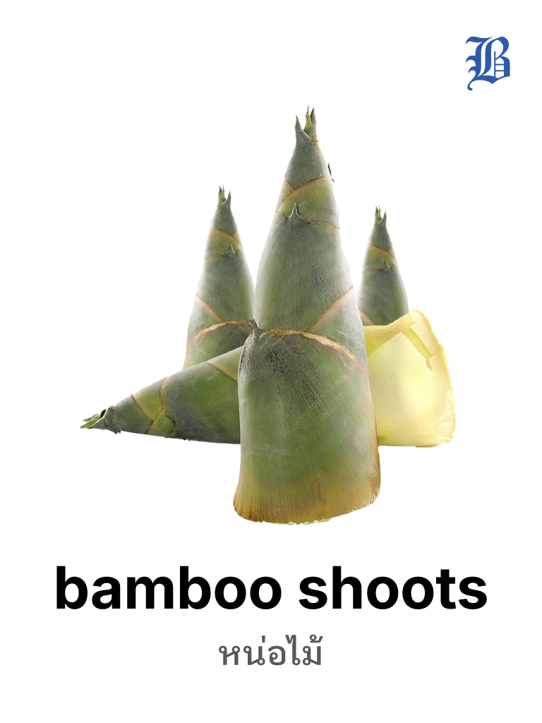 bamboo shoots 