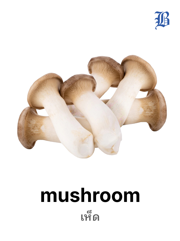 mushroom 